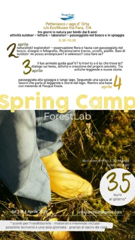 Spring Camp ForestLab