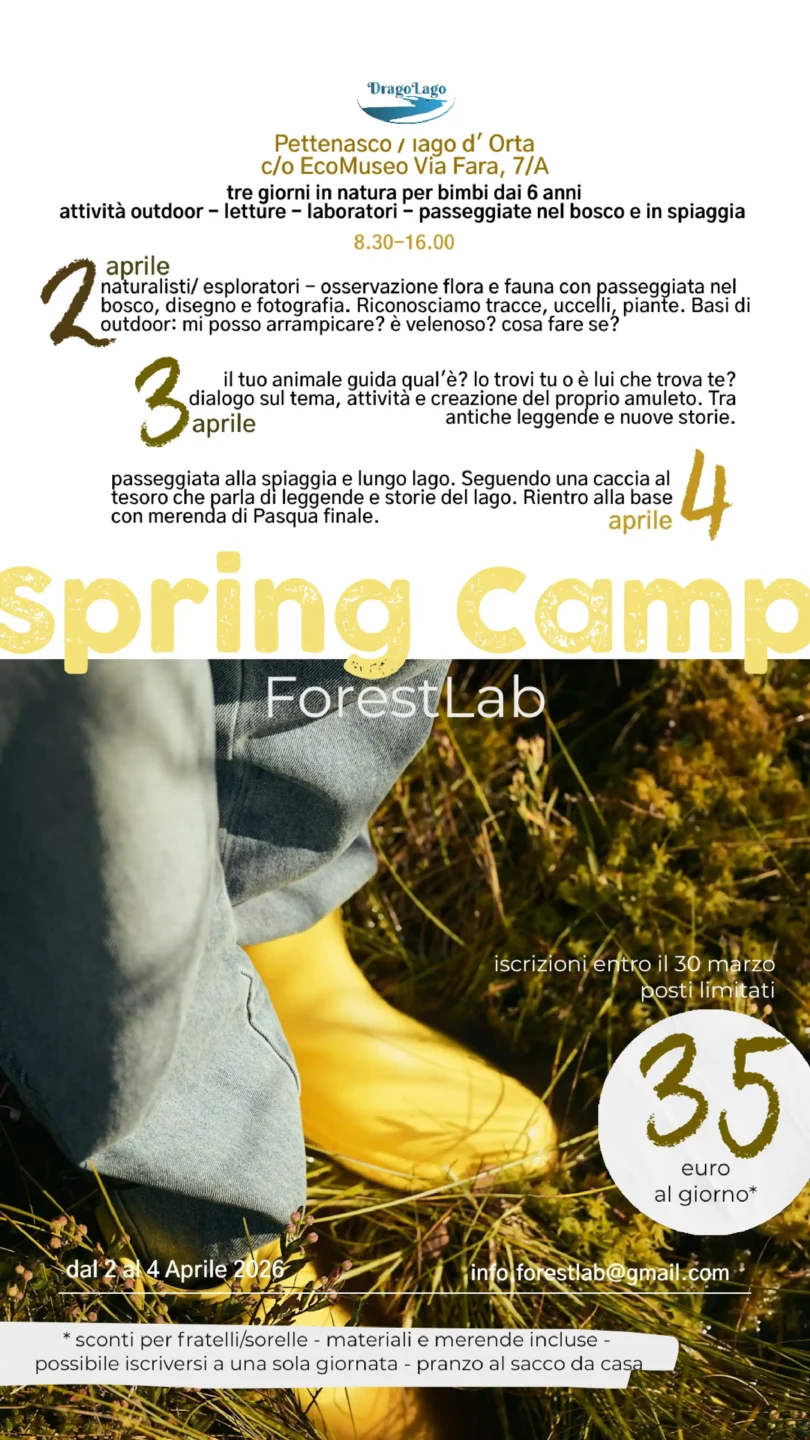 Spring Camp ForestLab