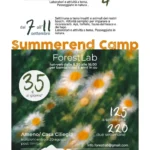 forestlab summerend camp