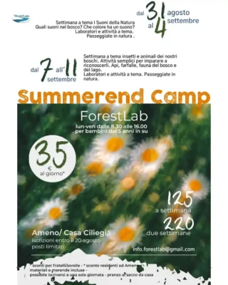 forestlab summerend camp