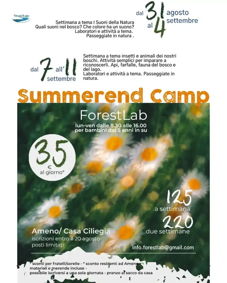 forestlab summerend camp